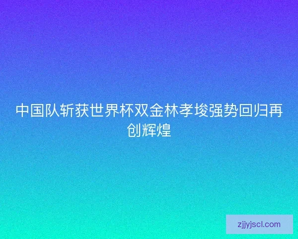 中国队斩获世界杯双金林孝埈强势回归再创辉煌