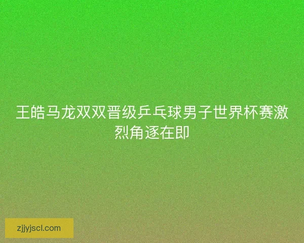 王皓马龙双双晋级乒乓球男子世界杯赛激烈角逐在即