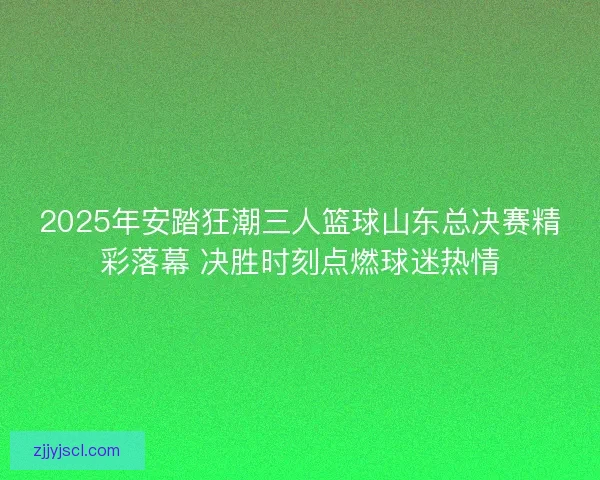 2025年安踏狂潮三人篮球山东总决赛精彩落幕 决胜时刻点燃球迷热情