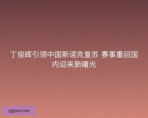 丁俊晖引领中国斯诺克复苏 赛事重回国内迎来新曙光