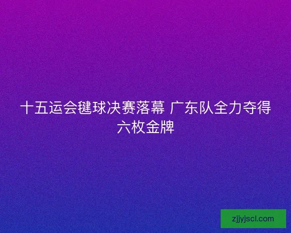 十五运会毽球决赛落幕 广东队全力夺得六枚金牌
